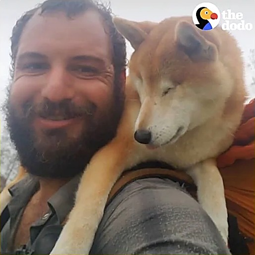 A hiker smiling with his dog on his shoulders