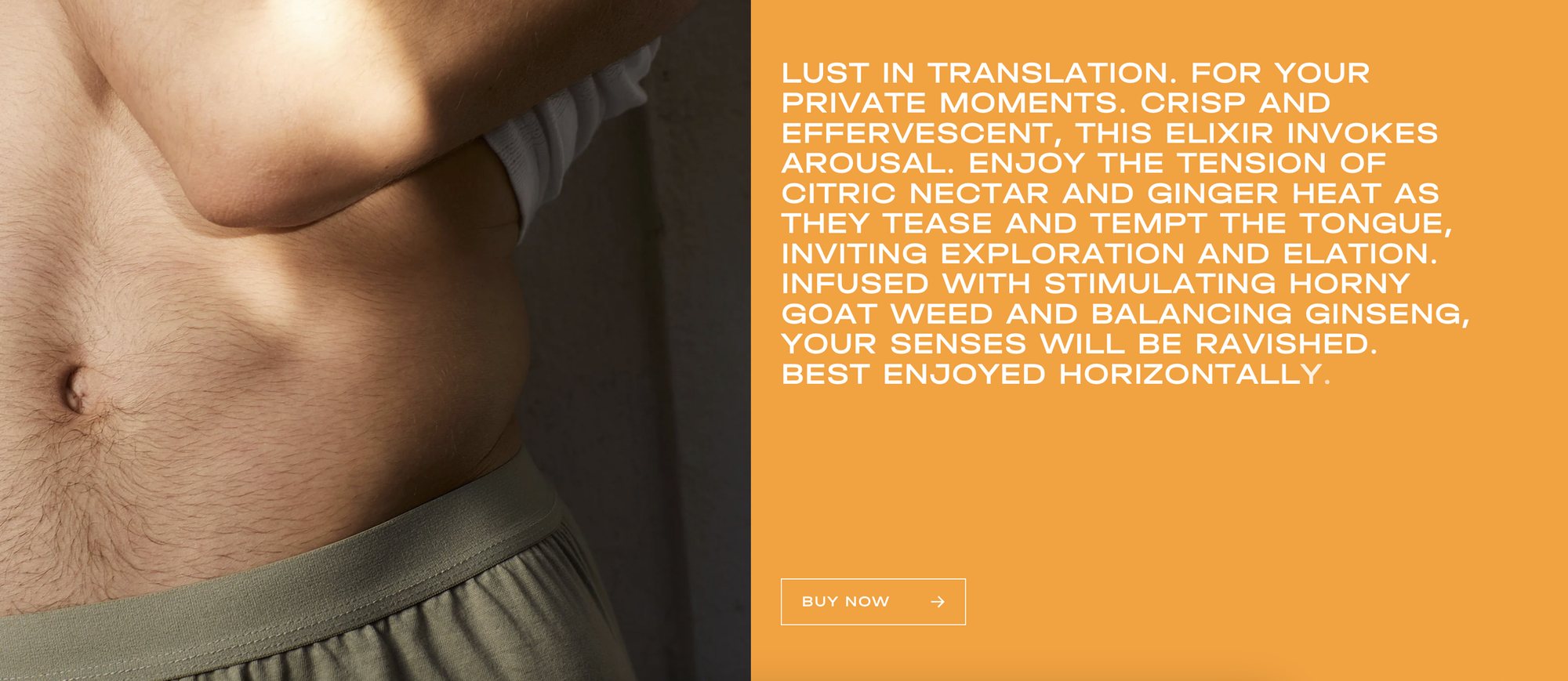Website panel for Sex: Lust in translation. For your private moments. Best enjoyed horizontally.