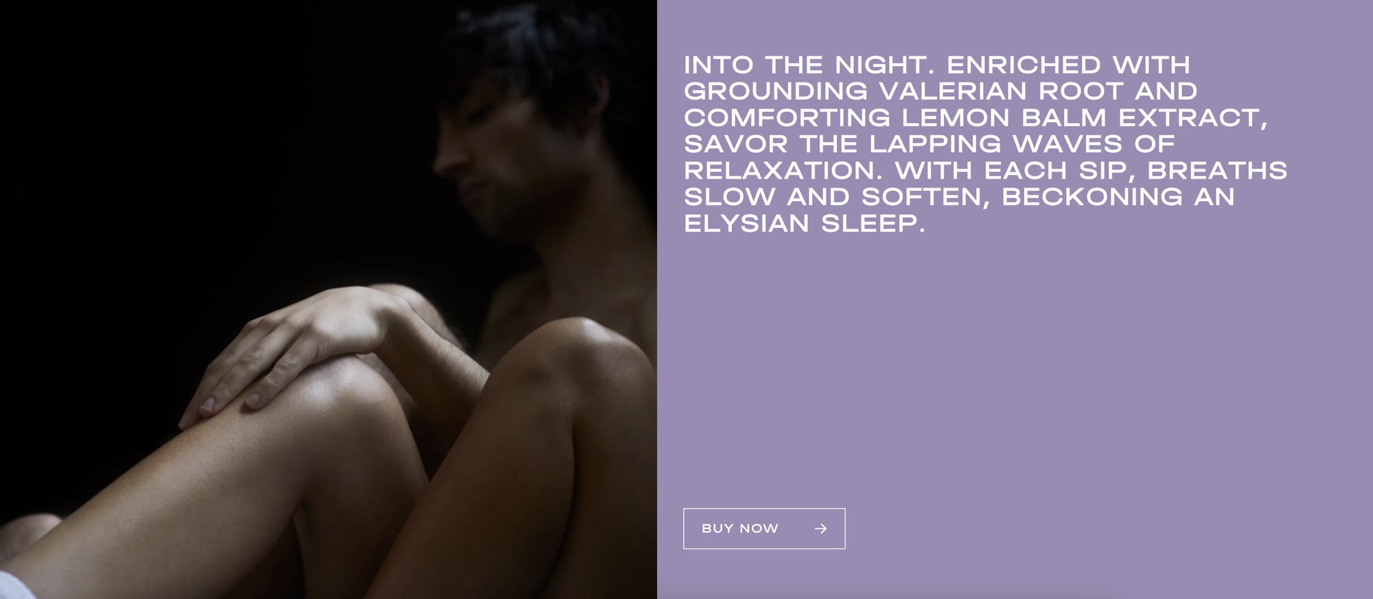 Website panel for Sleep: Into the night, beckoning an Elysian sleep.